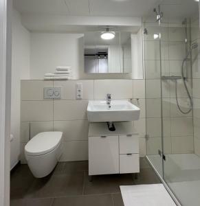 een badkamer met een toilet, een wastafel en een douche bij helloYOU Apartments in Ingelheim am Rhein