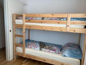 Palanda nebo palandy na pokoji v ubytování Chalet Sonne
