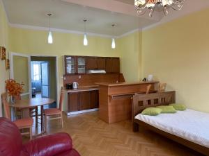1 dormitorio con 1 cama y cocina con mesa en Svahova 986/6, en Karlovy Vary