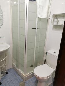 利亞內斯的住宿－LUCES DE LLANES，一间带卫生间和玻璃淋浴间的浴室
