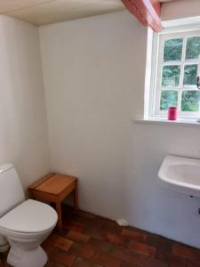 ein Bad mit einem WC, einem Waschbecken und einem Fenster in der Unterkunft Strandvejen 52, Reersø in Reersø