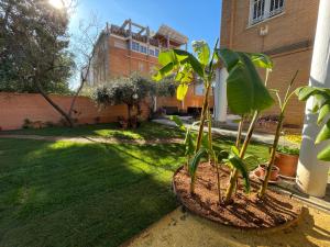 セビリアにあるEl Jardin de la Palmera-Ducha solar!の建物のある庭の植物の群れ