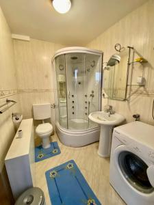 un bagno con doccia, WC e lavandino di Zabljak centar a Žabljak Altre 36 foto