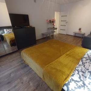 una camera con letto e TV a schermo piatto di Apartament Wrzosowy Balkon Łódź a Łódź