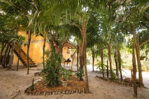a house with a bunch of palm trees in front of it at Pousada Colmeia - Praia de Santo André, Bahia in Santo André