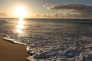 a beach with the sun rising over the ocean at Pousada Colmeia - Praia de Santo André, Bahia in Santo André