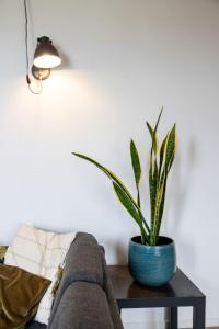 a plant sitting on a table next to a couch at Holiday Home Natuurlijk de Veenhoop by Interhome in De Veenhoop +5 photos