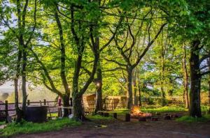 a campfire in a park with trees and a fence at Camp Hillcrest Bunkhouse 