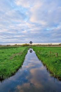 a tree sitting in the middle of a river at Holiday Home Natuurlijk de Veenhoop by Interhome in De Veenhoop