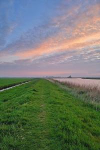a field of green grass next to a body of water at Holiday Home Natuurlijk de Veenhoop by Interhome in De Veenhoop