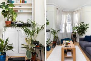 two photos of a living room with plants at Charming Victorian 1BR Retreat in the Heart of London in London