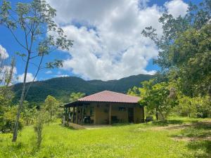 a house in a field with mountains in the background at Terra Booma in Alto Paraíso de Goiás