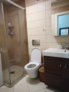 a bathroom with a shower and a toilet and a sink at Karpos- City Mall in Skopje