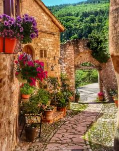 CollepinoにあるLa Casa dell'Abate di Collepino - Spelloの古石造りの建物内の鉢植えの小路