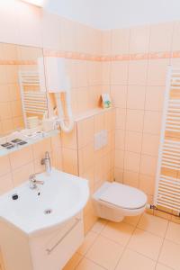 een badkamer met een wastafel en een toilet bij Kavárna a penzion REICHL in Králíky