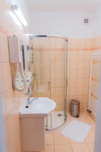 y baño con lavabo y ducha. en Kavárna a penzion REICHL, en Králíky