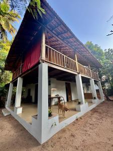 a house with a dog standing in front of it at The Sunset Chalet! in Anjuna