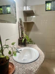 a bathroom sink with potted plants on a counter at The Sunset Chalet in Anjuna