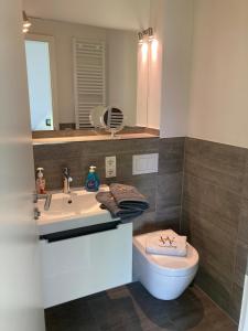 a bathroom with a sink and a toilet and a mirror at Bootshaus SunDeck - Strandnah in den Dünen in Wangerooge