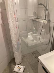 a shower with a glass door in a bathroom at Bootshaus SunDeck - Strandnah in den Dünen in Wangerooge