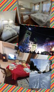 Galeriebild der Unterkunft Villa Nani in Pieve di Cadore