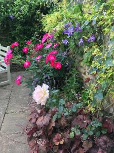 un jardín con flores rosas y moradas y un banco en Jasmine Cottage - 2 Bedroom in Heart of Bourton!, en Bourton on the Water
