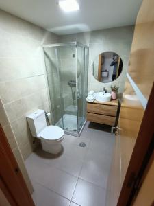 a bathroom with a shower and a toilet and a sink at Acogedora habitación privada en Villa Mayka in Granada