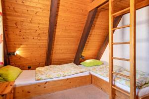 two bunk beds in a room with wooden walls at Gemütliches Nurdachhaus Bodensee in Immenstaad am Bodensee