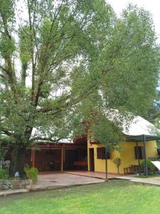 un edificio giallo con un grande albero di fronte di Cabaña El Abuelo a San Pedro de Colalao