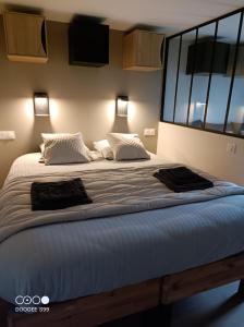 ein großes Bett in einem Schlafzimmer mit zwei Kissen darauf in der Unterkunft Aux pieds de la colline de Mousson in Pont-à-Mousson