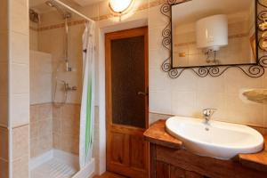 ein Bad mit einem Waschbecken, einer Dusche und einem Spiegel in der Unterkunft Appartamento Il Ciclamino in Issime