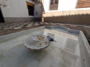 un pájaro sentado sobre una mesa en Guimar Momentos, vívelos en Córdoba, en Córdoba