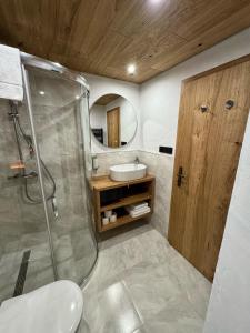 W łazience znajduje się prysznic i umywalka. w obiekcie David Wellness Hotel w mieście Harrachov