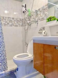 ein Bad mit einem WC, einer Dusche und einem Waschbecken in der Unterkunft Yulee’s Comfortable Home Seakyung Village condo in Lapu Lapu City