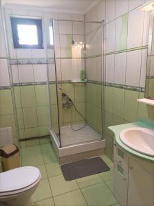 een badkamer met een douche, een toilet en een wastafel bij Myraka in Schitul