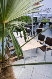 einen Tisch und Stühle sowie eine Pflanze auf einer Terrasse in der Unterkunft Hotel La Baia in Cochem