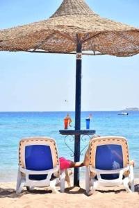 two people sitting in chairs under an umbrella on the beach at قرية النورس مكتب السعد in Ismailia