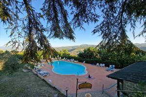 an outdoor swimming pool with chairs and a tree at Villa Burga by Mmega in Selci +37 photos