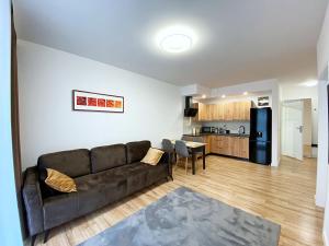 Apartamenty Przemyśl BG في برزيميسل: غرفة معيشة مع أريكة ومطبخ