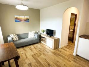 a living room with a couch and a television at Appartamento Giuliana in Son Bou