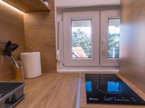Kuchyň nebo kuchyňský kout v ubytování Apartman Vidovic Tara