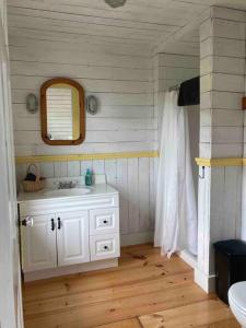 un bagno con lavandino e specchio di Sea Cliff Cottage a Edwardsville