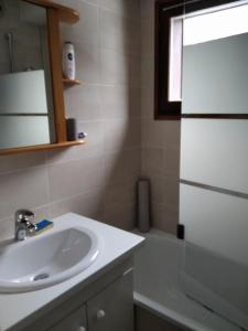 y baño con lavabo, espejo y ducha. en Le nid de Chamechaude, en Saint-Pierre-de-Chartreuse