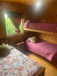 een slaapkamer met 2 stapelbedden in een hut bij Cabaña colmo in Quintero