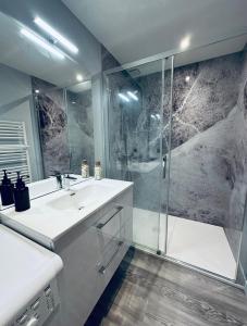 ein Badezimmer mit einem weißen Waschbecken und einer Dusche in der Unterkunft Le Scandinave - PROCHE MACON - PARKING GRATUIT - NETFLIX in Pont-de-Veyle