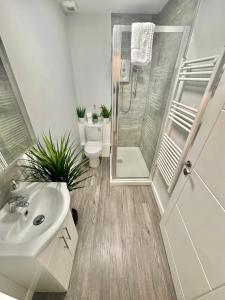 uma casa de banho com um lavatório, um WC e um chuveiro em Sleek Urban Getaway - With Parking em Bournemouth