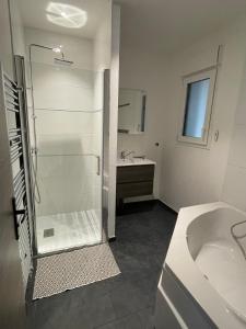 La salle de bains est pourvue d'une douche et d'un lavabo. dans l'établissement L'Orée des Champs, à Lérouville