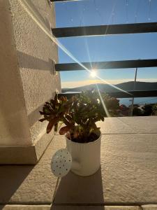 Fotografie z fotogalerie ubytování Apartment Marija v destinaci Tisno