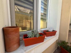 Fotografie z fotogalerie ubytování Apartment Marija v destinaci Tisno