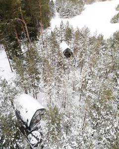 an aerial view of snow covered trees and a cabin at Jungle SPA bungalows in Žocenes Ciems